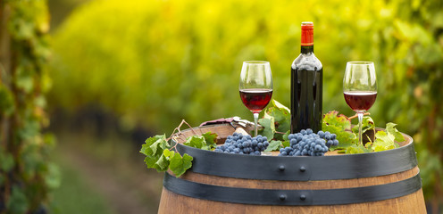 Pouring red wine into the glass, Barrel outdoor in Bordeaux Vineyard