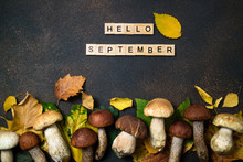 Hello September Card. Mushroom Boletus And Autumn Leaves Background. Autumn Composition. Fall Season Mood. Top View