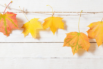 Poster - autumn leaves on wooden background