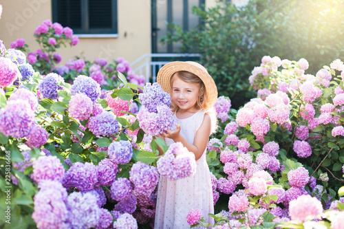 Cuadros en Lienzo Little girl isin bushes of hydrangea flowers in sunset garden