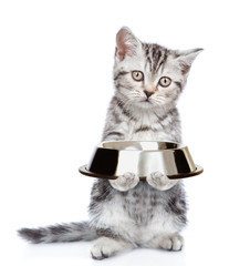 Poster - Kitten holding empty bowl. isolated on white background