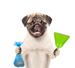 Puppy holds plastic bag and scoop. Concept cleaning up dog droppings. isolated on white background