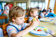 © Irina Schmidt - Cute healthy preschool boy eats hamburger sitting in school canteen