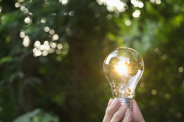 Hand holding light bulb in garden green nature background.