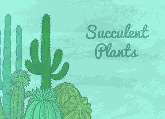 Poster - Vector hand drawn wild cacti plants background with place for text illustration