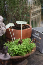 Gardening Label. A Vintage Metal Sign Of Herbs And Spices With Soft Focus On The Chives Labelling Tag.
