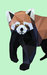 Wall Mural - Colorful polygonal style design of wild red panda