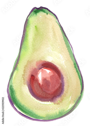 Avocado Cut In Half Painted In Watercolor On Clean White Background Stock Illustration Adobe Stock