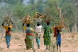 Le Mali, famille africaine, bois sur la tête, tenues traditionnelles colorées, Pays Dogon, Mali, Afrique