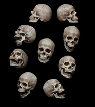 Nine Skulls