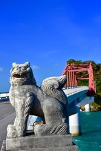Bridge Protector