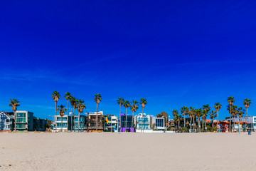 Houses and palm trees near Venice Beach, Los Angeles