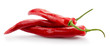 red chilli peppers isolated on a white background