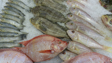 Fresh fish raw on ice sold in supermarkets. Seafood in the shop window. Buy for cooking. food concept.copy space.