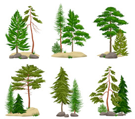 realistic pine forest elements set