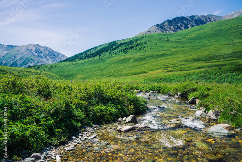 Mountain Creek In Green Valley Among Rich Vegetation Of