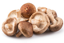 Shiitake Mushrooms On The White Background.