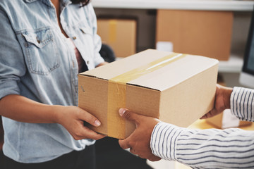 Wall Mural - Female post worker giving parcel to customer