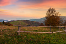Rural Area In Mountains At Dawn. Fence Around The Orchard On Hill. Beautiful Autumn Scenery