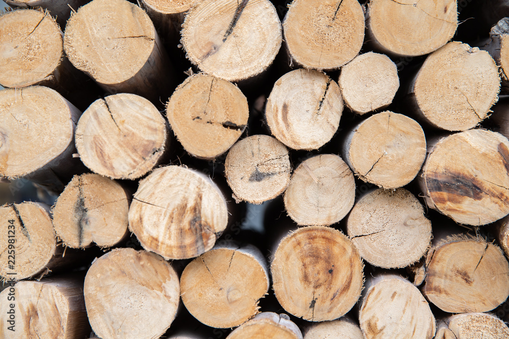 Close up of stack spilled cutting dry wood logs textured background, side view.