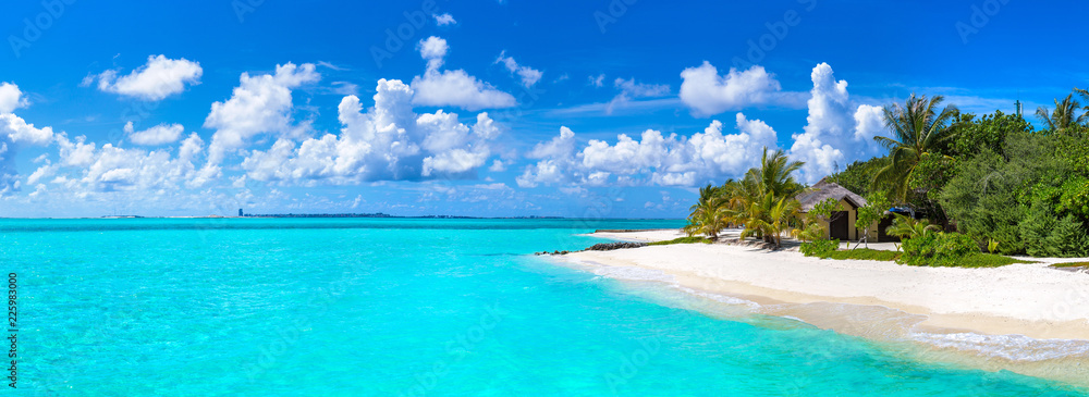 Tropical beach in the Maldives - obrazy, fototapety, plakaty 