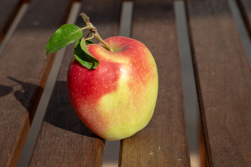 Wall Mural - Single fresh ripe apple on a wooden table