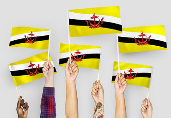 Wall Mural - Hands waving flags of Brunei