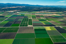 Farmland In Northern California