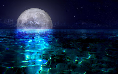 Wall Mural - full moon over the sea