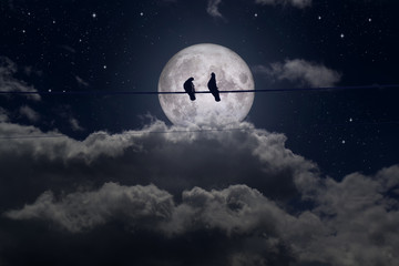 Wall Mural - Romantic plot, Loving pigeons on a full moon background
