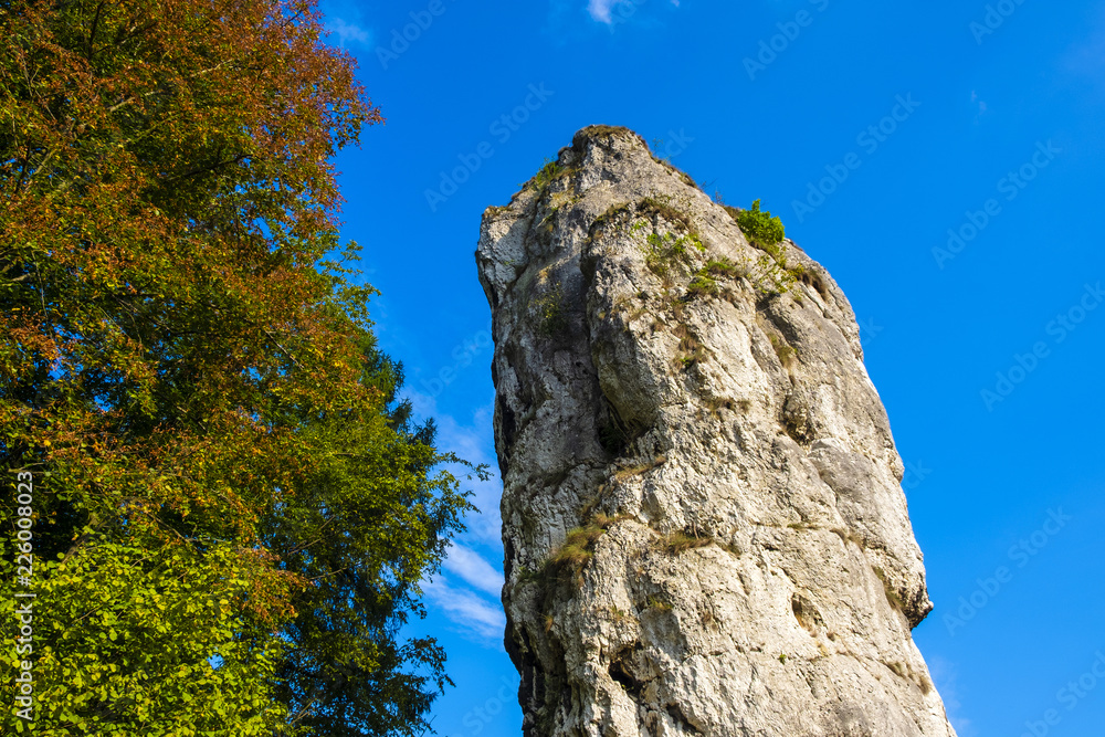 Pieskowa Skala, Poland - Monumental limestone rock Cudgel or Bludgeon of Hercules - Maczuga Herkulesa - in the Ojcowski National Park - obrazy, fototapety, plakaty 