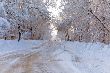 Snowy Road 2