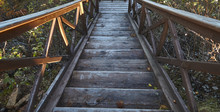 Stairs In The Natural Park