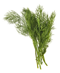 Wall Mural - green dill isolated on white background