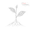 Seedling grow. Abstract Growth. Isolated black vector illustration in low poly style on a white background. Polygonal image on topics of vegetables or food.