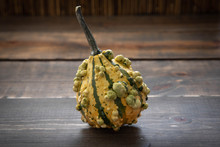 Isolated Gourds Mixed Pumpkin