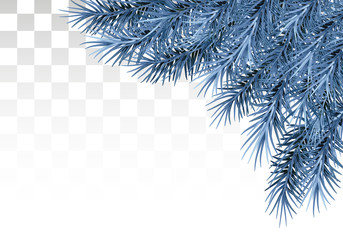 Branches of pine in snow and frost. On a transparent background. New Year decoration. Decor. Vector .Eps 10.