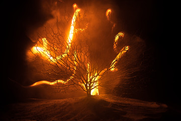 Wall Mural - silhouette of scary halloween tree with horror face on dark foggy toned fire. scary horror tree hall