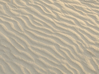 Wall Mural - texture of sand waves on the beach or in the desert. the ripples of the sand is diagonal.