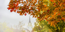 Autumn Background With Brightly Colored Foliage In Foreground On Side And Blurre Trees And Church With Steeple In Background - Half Page Web Banner