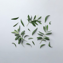 Flat Lay Composition With Fresh Green Olive Leaves And Twigs On Light Background