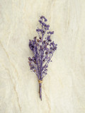 Fototapeta Lawenda - Top view bouquet of dried and wilted purple Gypsophila flowers on matt marble background