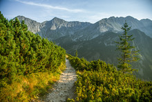 A Beautiful Hiking Trail In The Mountains. Mountain Landscape In Tatry, Slovakia. Walking Path Scenery.