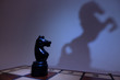 Chess knight and the shadow of a living horse