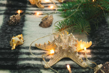Christmas Decorations, Garland Lights And Shells