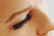 © Olesia - Female eye with extreme long false eyelashes. Eyelash extensions, make-up, cosmetics, beauty and skin care