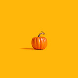 Fototapeta  - Autumn orange pumpkin on an orange background