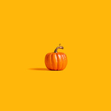 Autumn Orange Pumpkin On An Orange Background