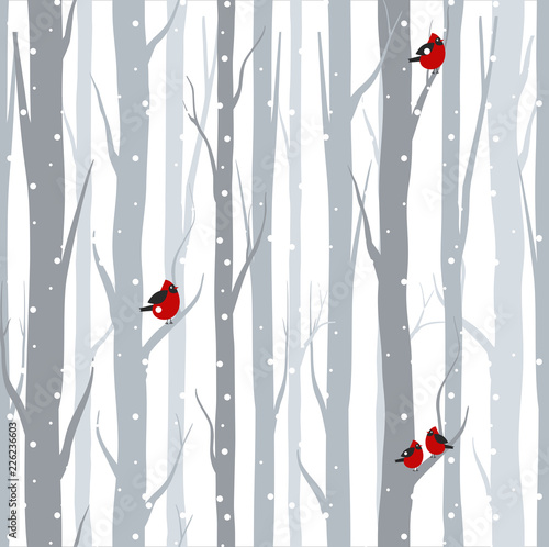 Obraz brzozy  ilustracja-wektorowa-szwu-z-szarymi-drzewami-brzozami-i-czerwonymi-ptakami-w-okresie-zimowym