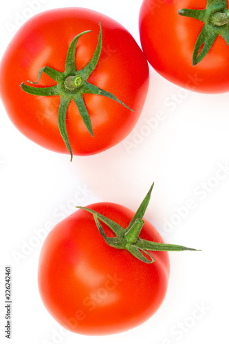 red tomatoes on a green branch